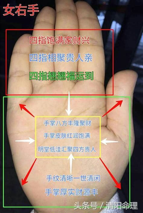 手指紋路 手相 農曆出生查詢